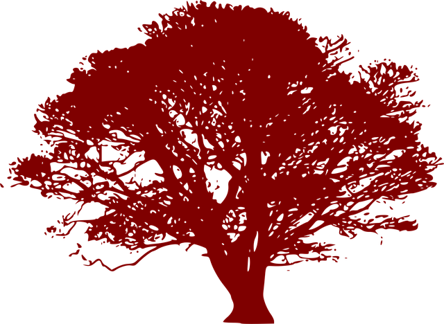 bizgrowdemo.com